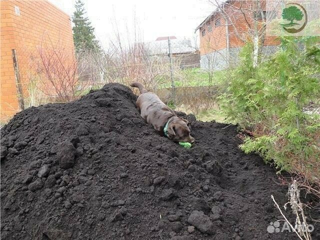 Чернозем Торфосмесь