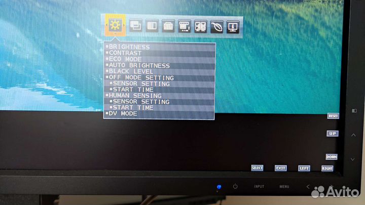 NEC MultiSync EA295WMi монитор 29