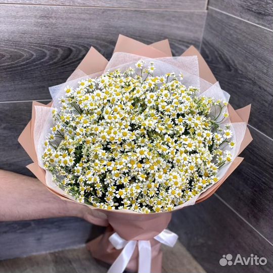 Ромашки доставка