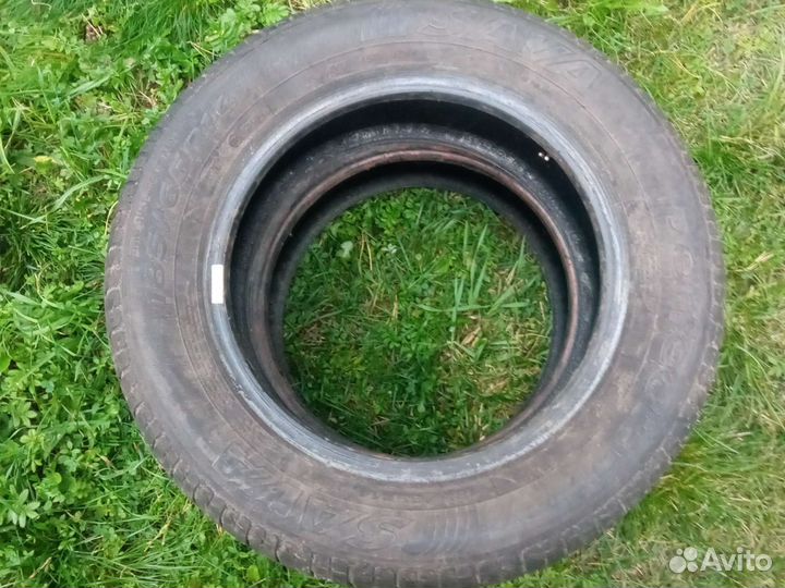 Sava Perfecta 185/65 R14