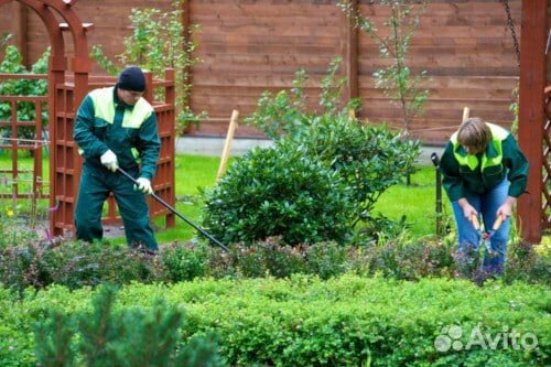 Работник на озеленение с ежедневной оплатой