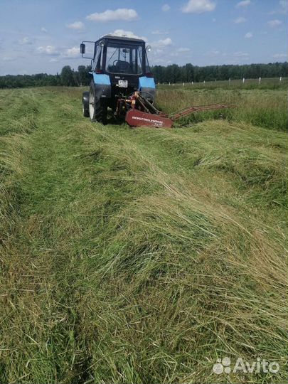 Сено в рулонах