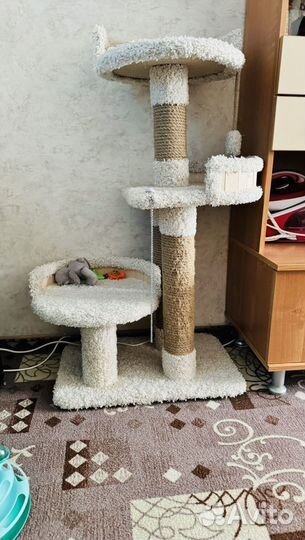 Когтеточка