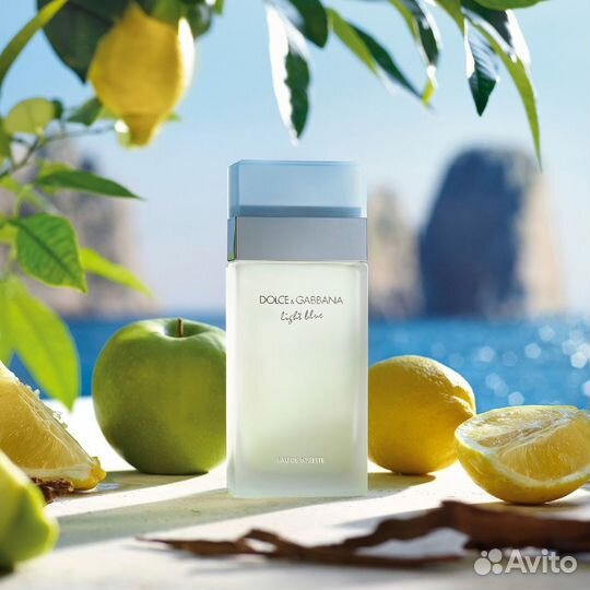 Dolce&gabbana Light Blue