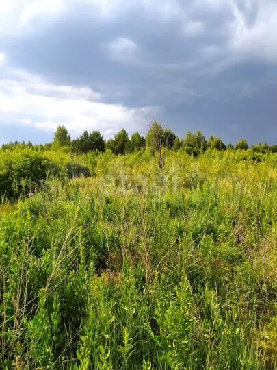 Участок 13 сот. (ИЖС)