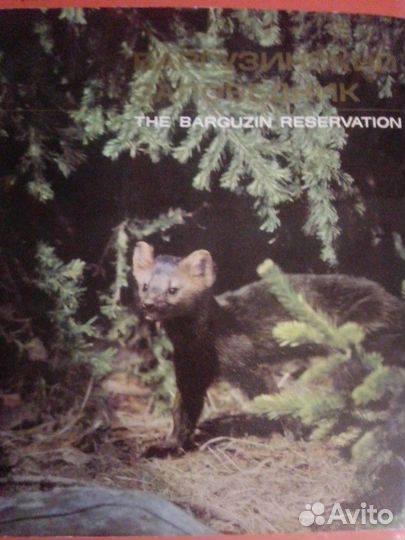 Баргузинский заповедник