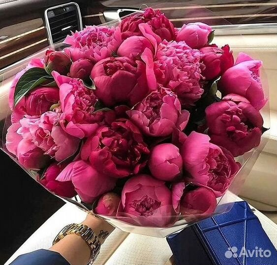 Пионы Букет пионов