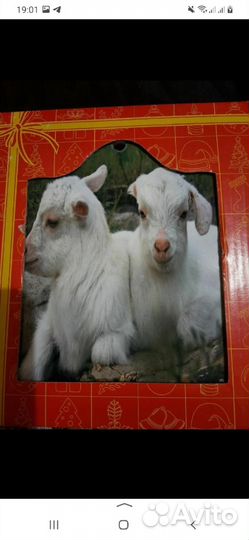 Подставка под горячее