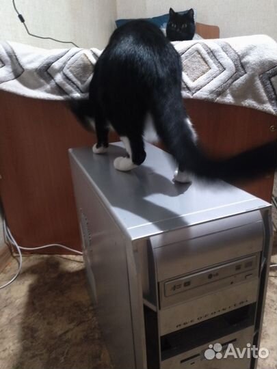 Системные блоки