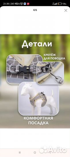 Шлейка для маленькой собаки размер м