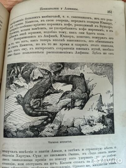 Антикварная книга. Путешествия по Африке