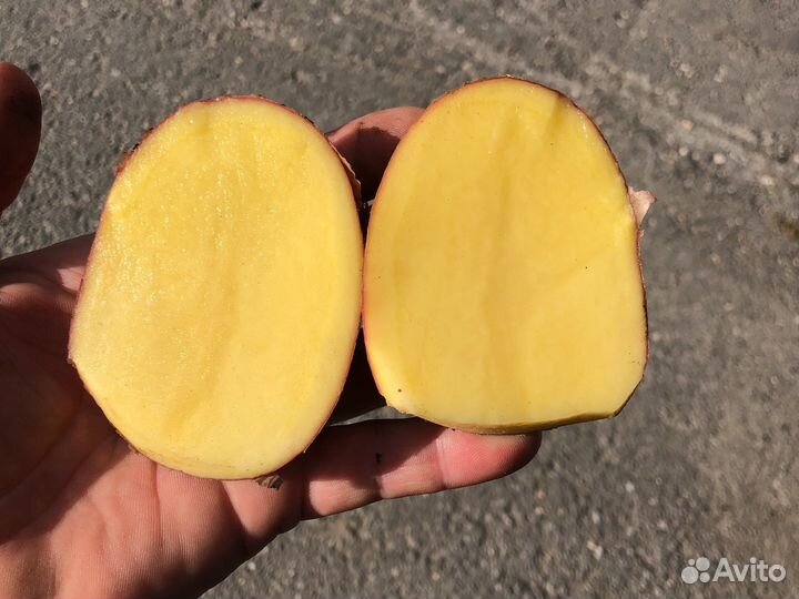 Картофель, Морковь, доставка бесплатно