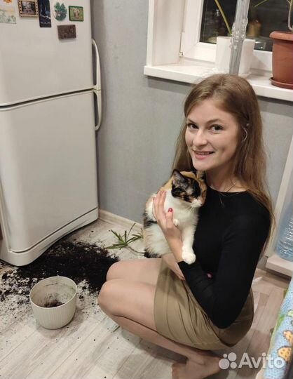 Швейная машинка janome 1522