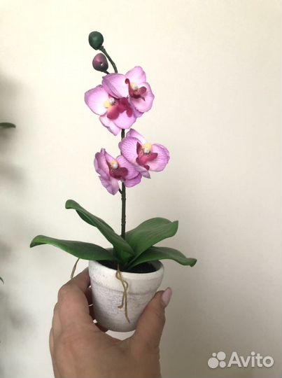 Орхидея фаленопсис. Искуственные)