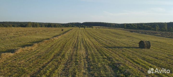 Сено в рулонах