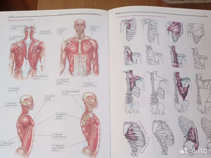 Книга для художников