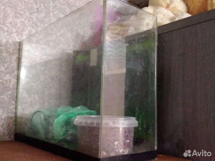 Аквариум