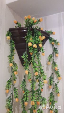 Кашпо керамическое. Высота - 24,5 см. ширина - 16