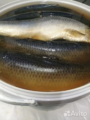 Рыба Сельдь с/с алюторка (350) цена за кг