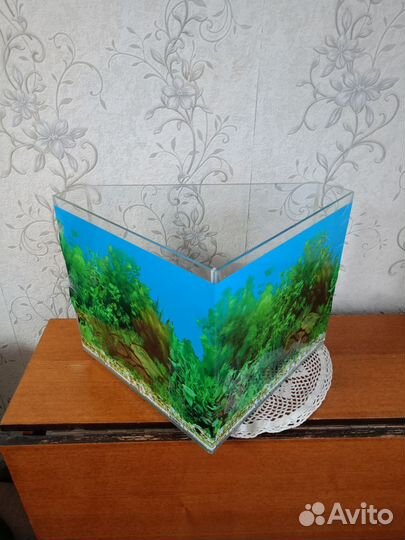 Аквариум
