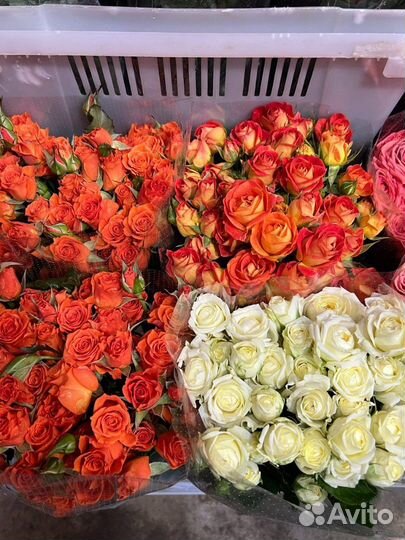 Доставка цветов / Букет из роз