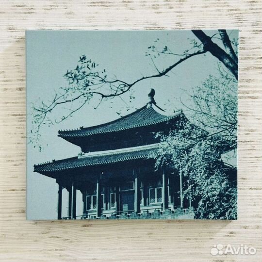 CD Bvdub 