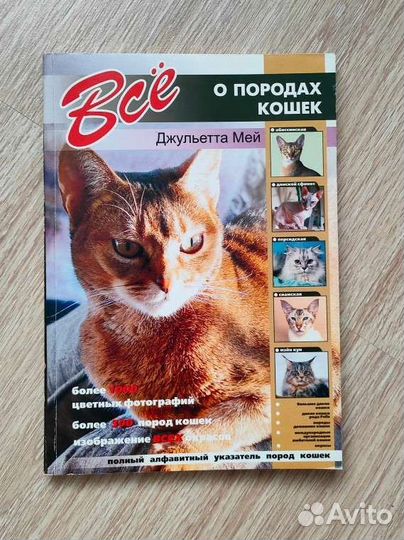 Всё о породах кошек