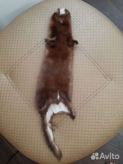 Норковые шкурка и воротник новые