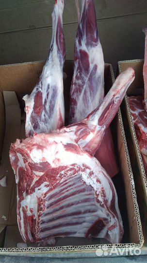 Мясо баранина домашняя халяль