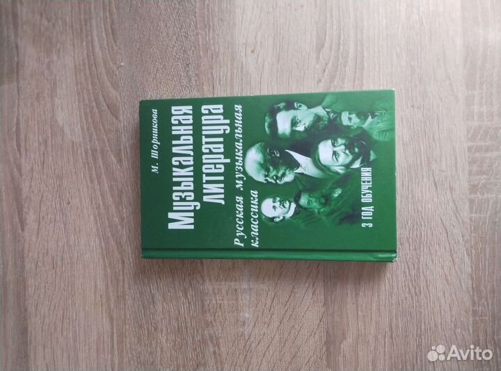 Музыкальная литература