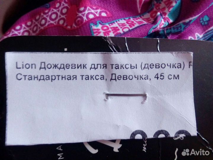 Дождевик для таксы девочки