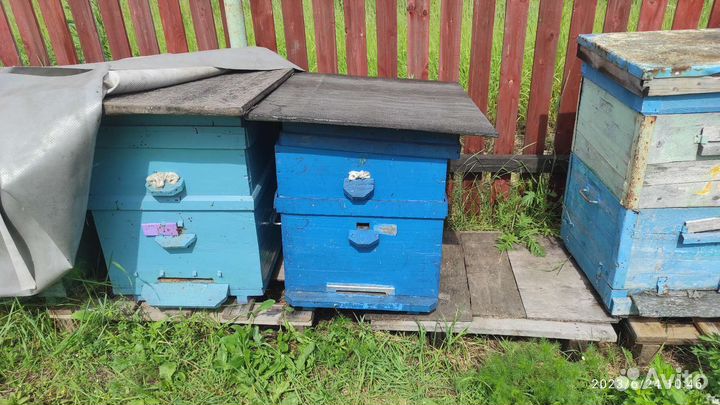 Ульи для пчел