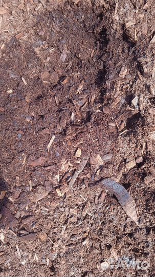 Перегной древесный из стружки и опилок
