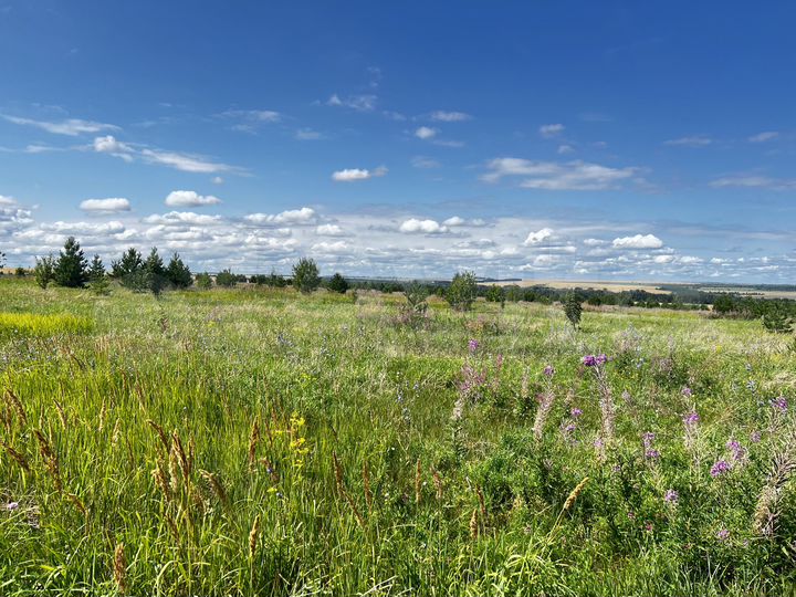 Участок 8,3 га (СНТ, ДНП)