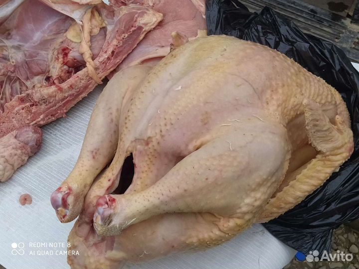 Продукты питания
