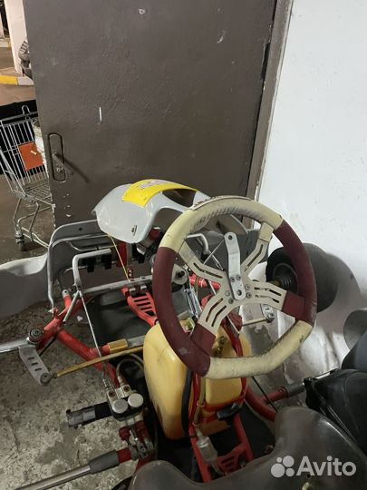 Rotax картинг