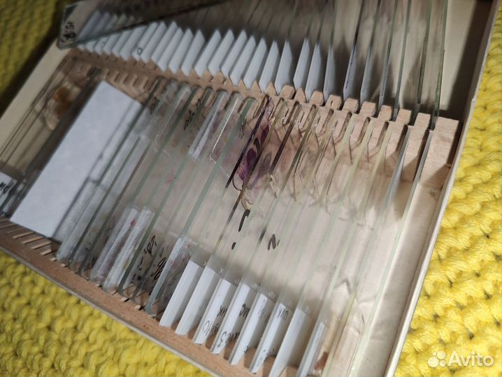 Гистологическое препараты