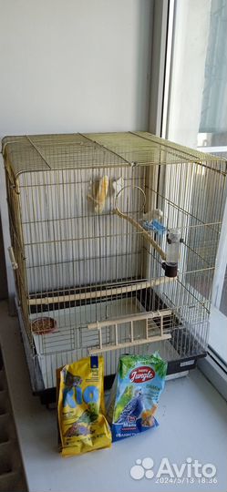 Волнистый попугай с клеткой