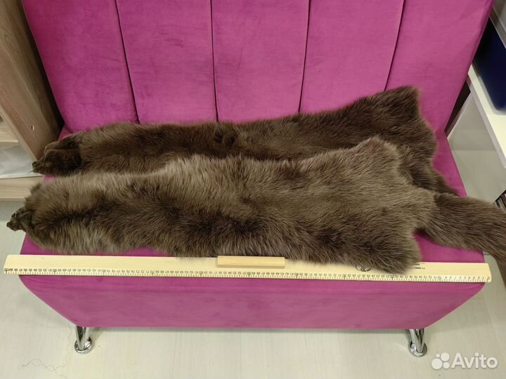 Шкура песца