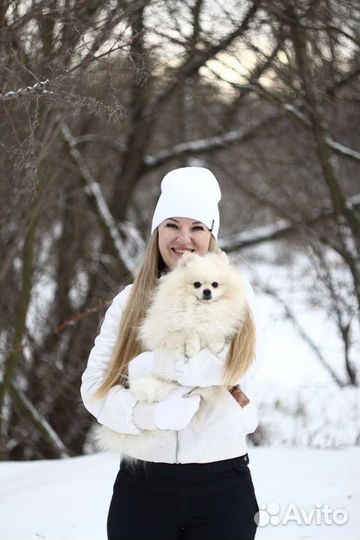 Шпиц кобель вязка