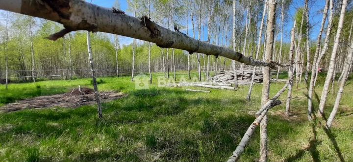 Участок 15 сот. (ИЖС)