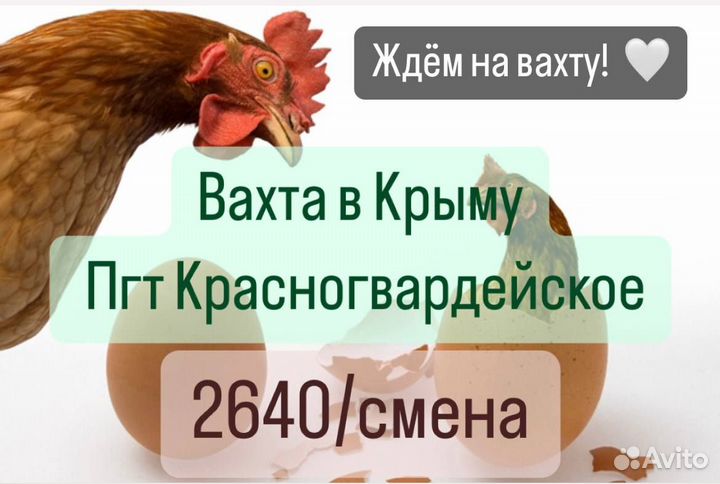 Грузчик с проживанием вахта Крым