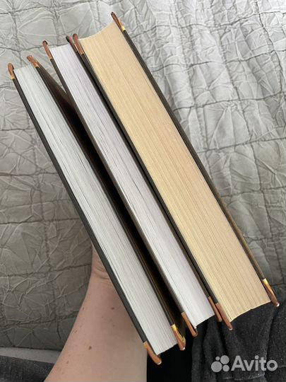 Коты воители первый цикл