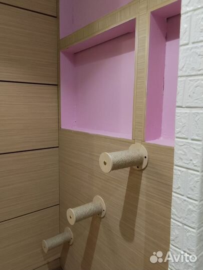 Новая Зоогостиница для кошек, SPA-услуги, груминг