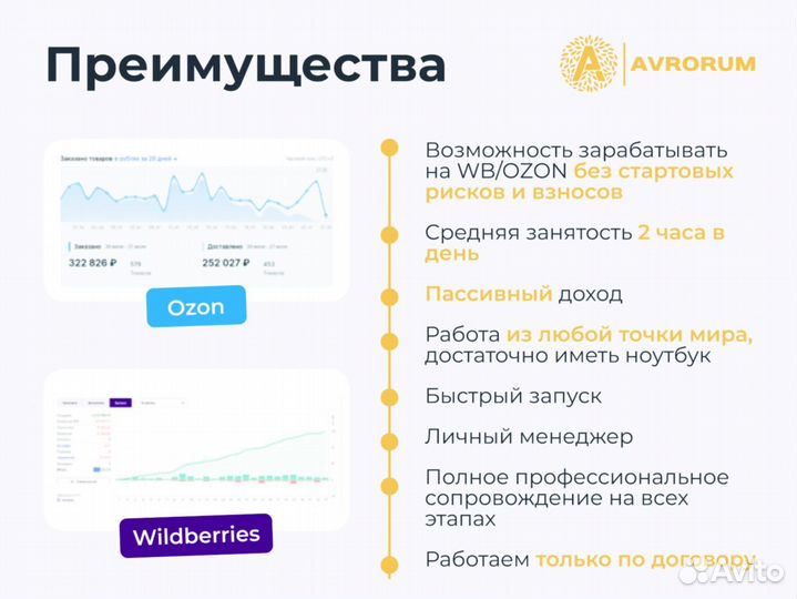 Бизнес с ozon 87 193 р/мес