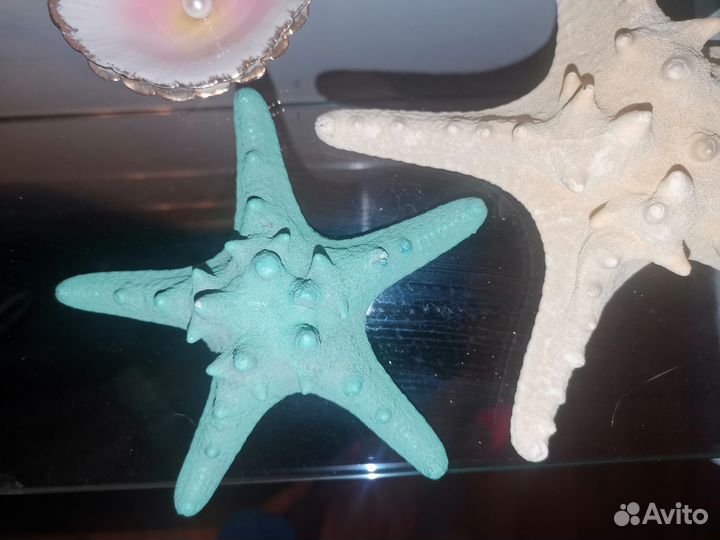 Морская звезда