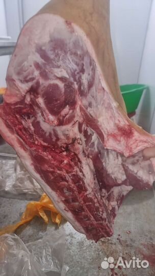 Домашняя свинина живым весом и в полутушах