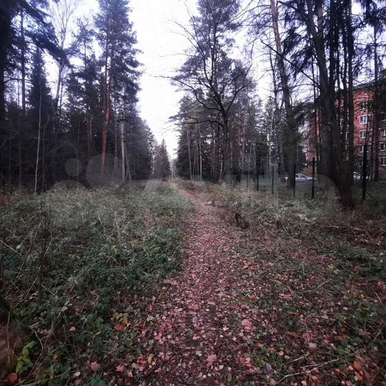 Участок 60 сот. (СНТ, ДНП)