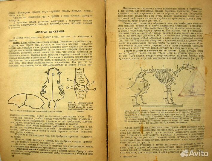 Кинология 1933. огпу, милиция, пограничники