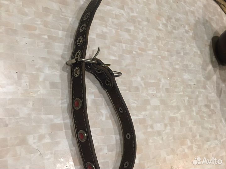 Ношейник Кожа 46. 3см Отл смотр